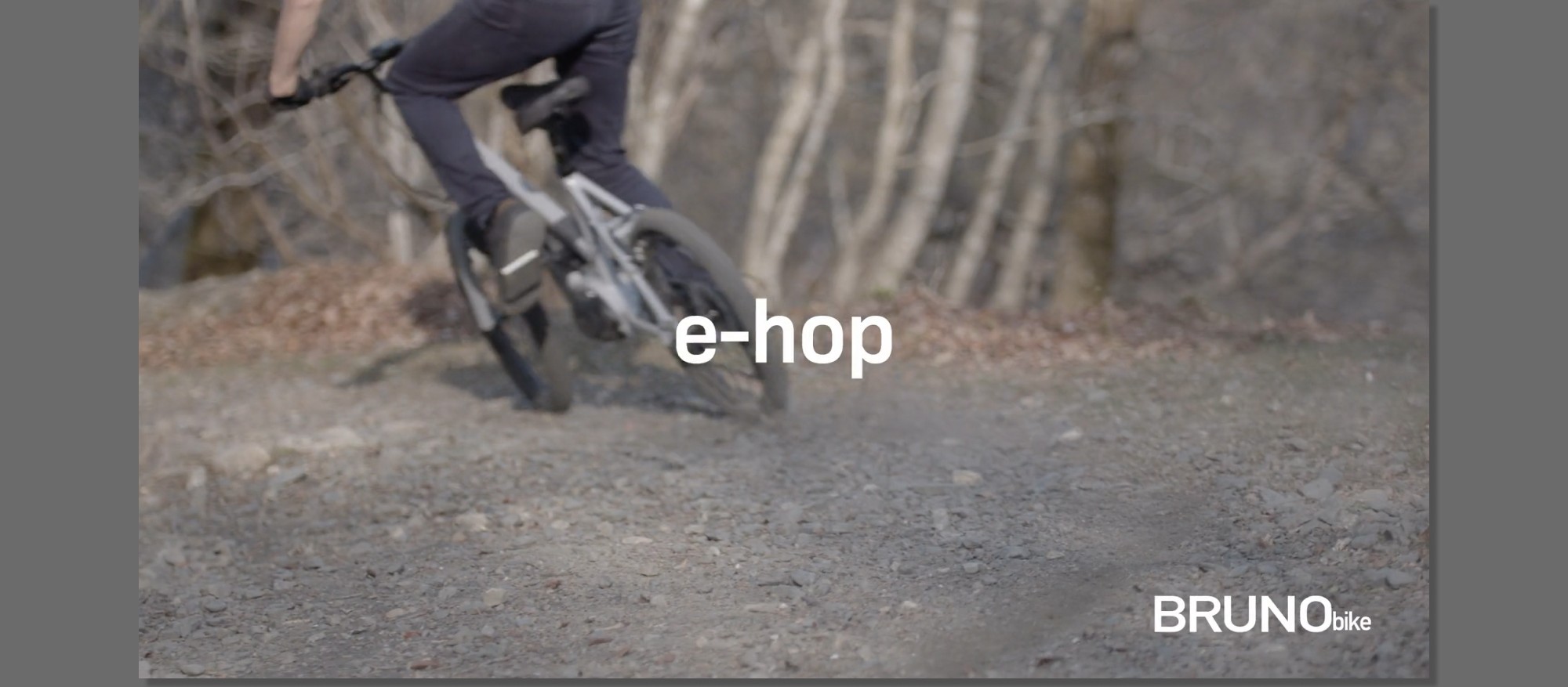 Compact e-assist bike — dealer promotion