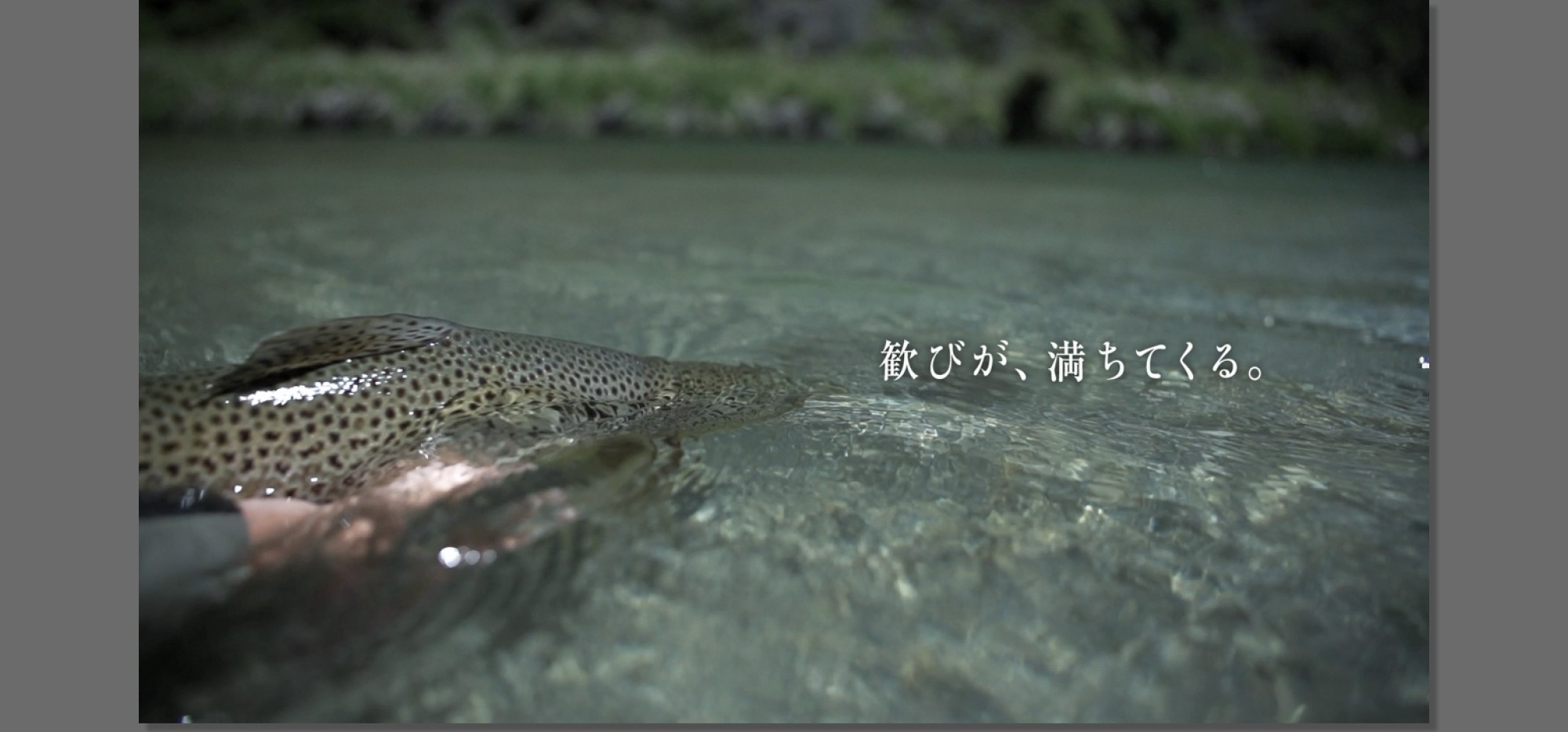 Major Japanese fishing tackle brand — flagship reel promo